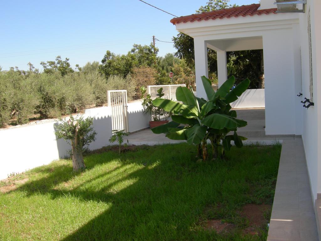 Villa Despoina Paphos Exterior photo