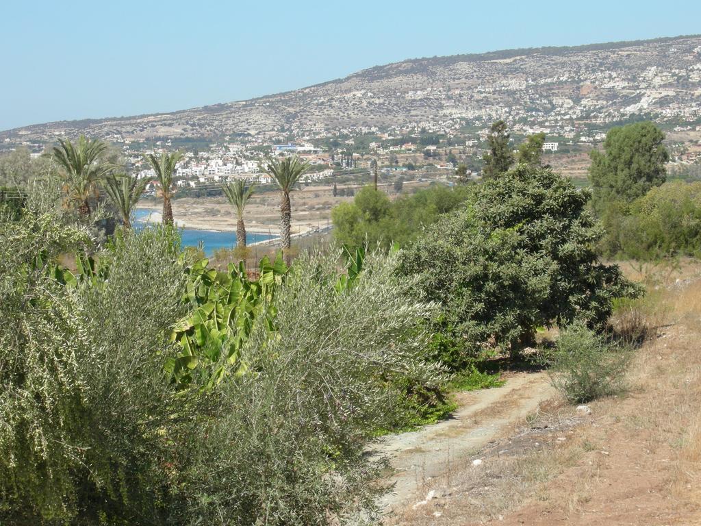 Villa Despoina Paphos Exterior photo
